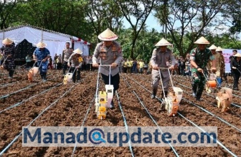Kapolda Sulut Irjen Pol Roycke Langie bersama Forkopimda Sulut dalam program tanam jagung serentak nasional, dalam upaya mendukung ketahanan pangan Nasional, Selasa (21/01)