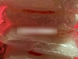 Seorang Pria Ditangkap Ditresnarkoba Polda Sulu karena Edarkan Sabtu 216 Gram