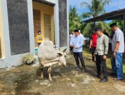 Idul Adha 1447 H, Polresta Manado Tebarkan Kepedulian Melalui Penyembelihan dan Penyaluran Hewan Kurban 