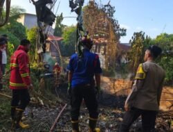 Kronologi Polsek Tikala Amankan TKP Kebakaran Lahan Alang-alang di Tikala Ares, Tidak Ada Korban Jiwa