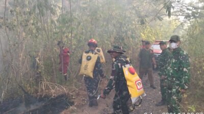 Kebakaran Hutan Gunung Soputan Meluas, Gubernur YSK Gerak Cepat Kerahkan Tim Gabungan